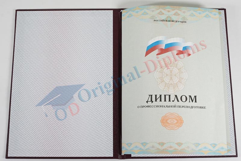 Диплом о переподготовке 2013